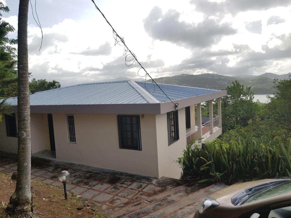 Top Hill Hostel- Martinique- Auberge Dortoir La Trinite Exterior photo